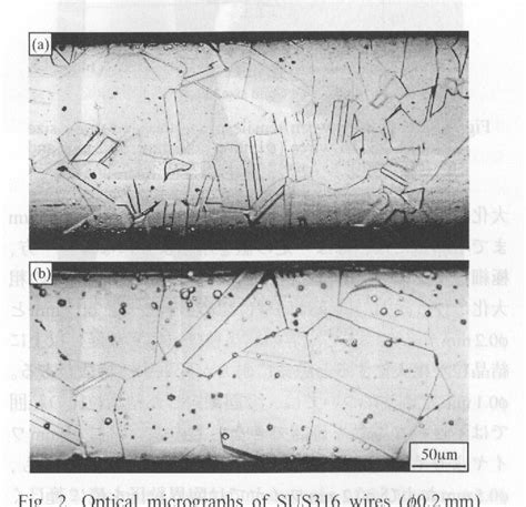 Size effect in stainless steel thin wires under tension